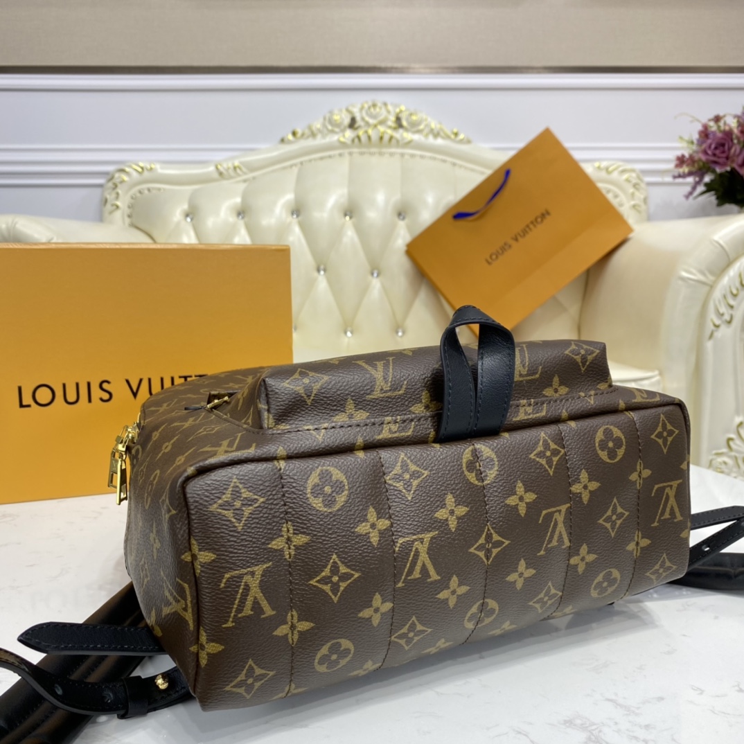 Louis Vuitton PALM SPRINGS MM Backpack Monogram M44874